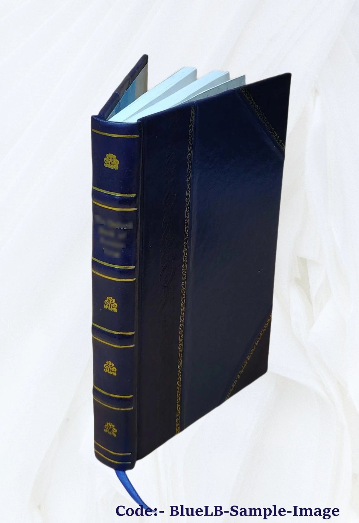 Leather Bound Book I5901
