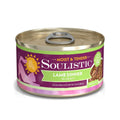 Wet Cat Food R14027