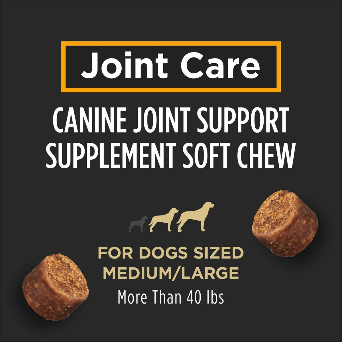 Joint Care Supplement D45793