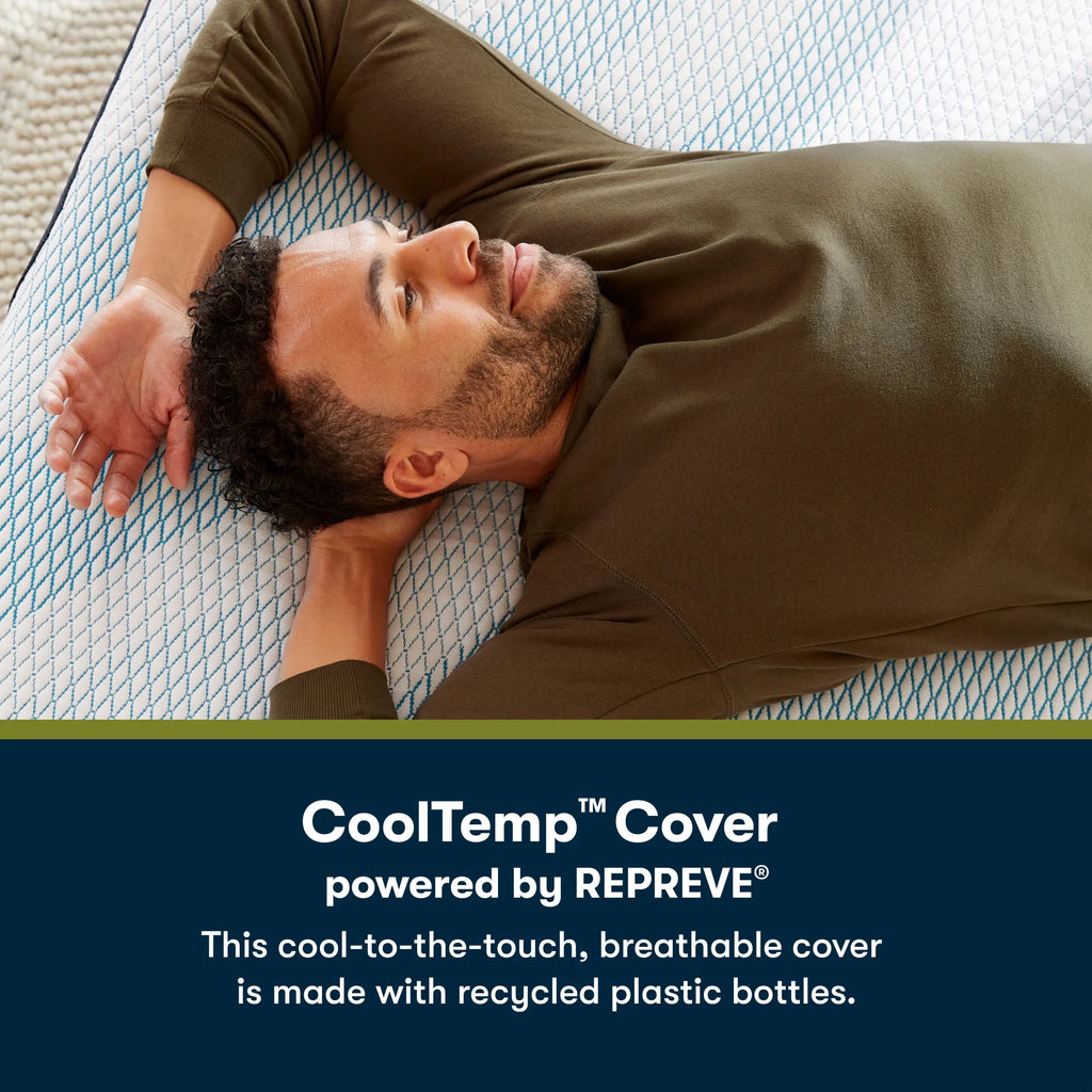 14.25 Memory Foam Plush Mattress T848660
