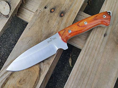 Fixed Blade Full Tang 11" MOVA Stainless Steel Knife with Sheath L66766
