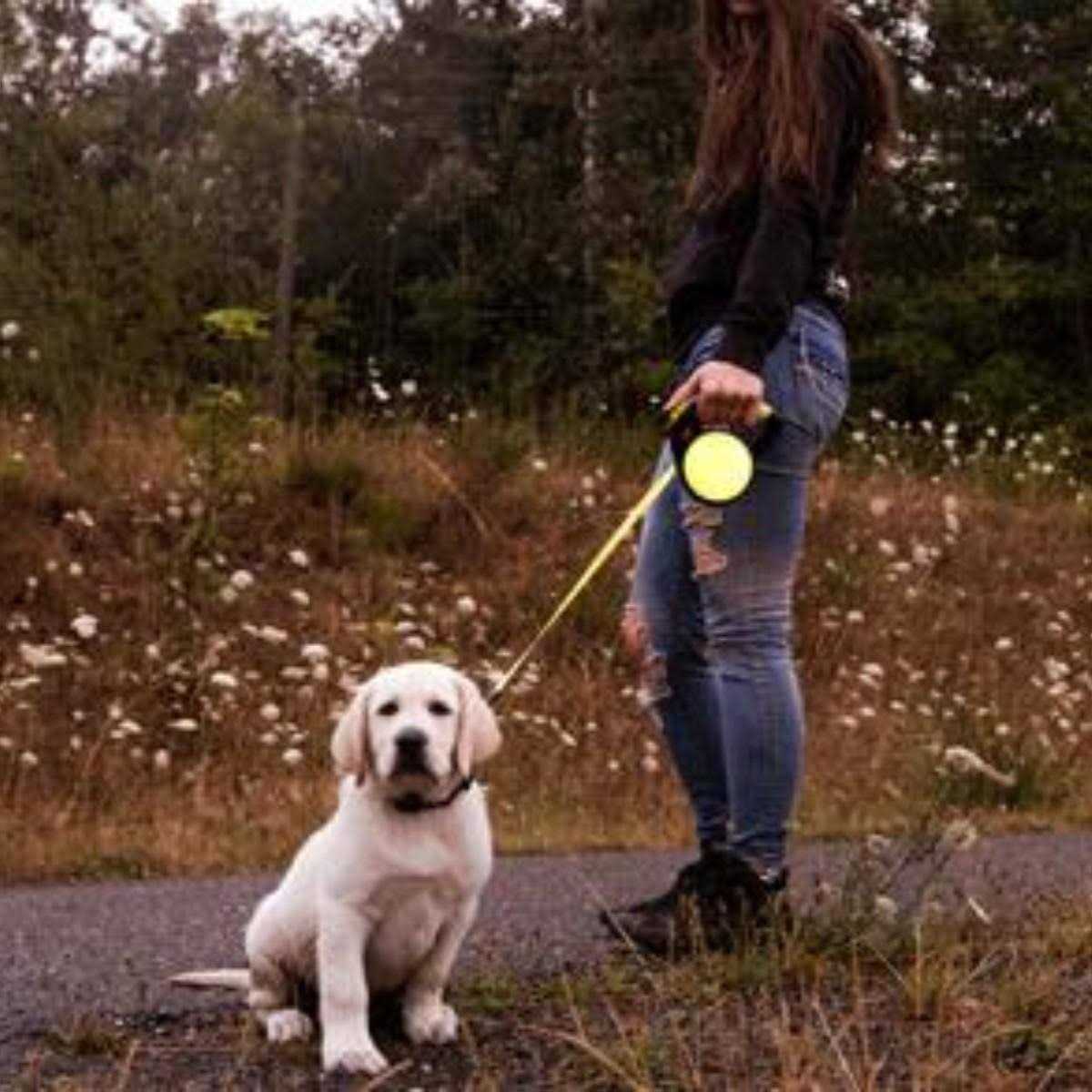 Retractable Leash X794834