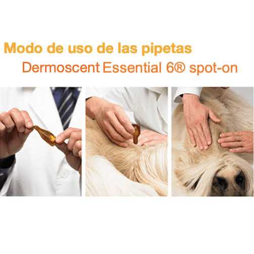 Essential 6 Spot-On Dogs Z9315