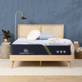 14.25 Memory Foam Plush Mattress T848660