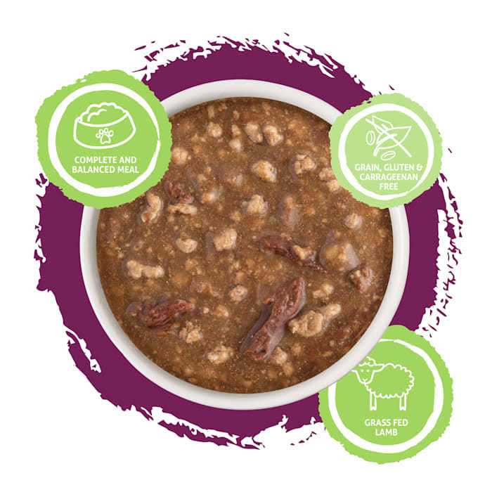 Wet Cat Food R14027