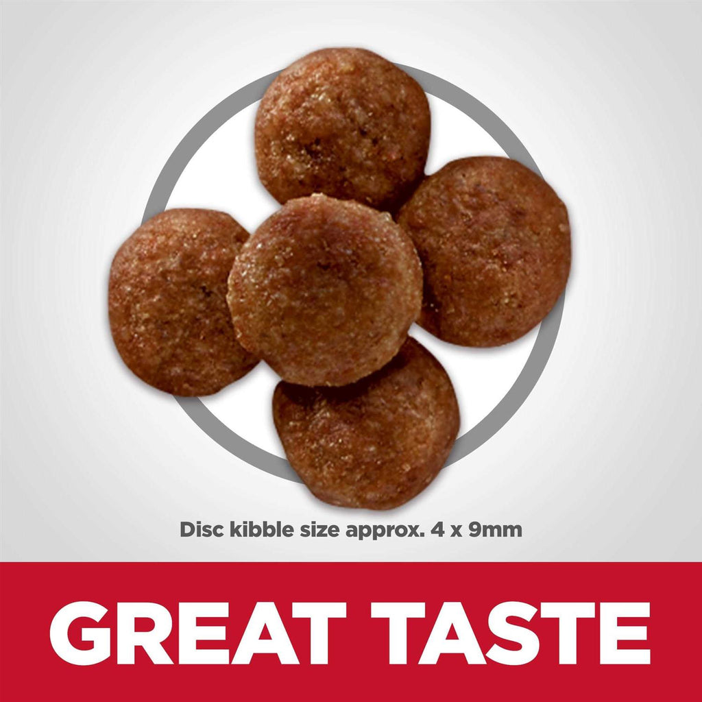 Adult Perfect Digestion Small Bites Chicken Dry Dog Food O8437