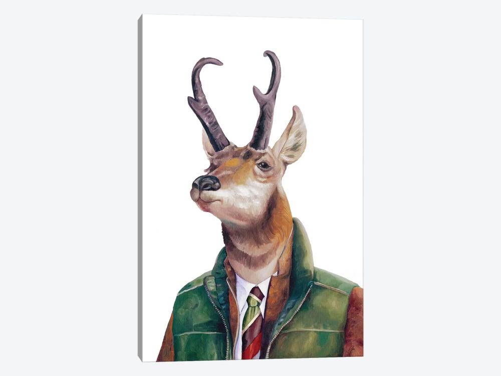 Animal Canvas Art Print Y24868