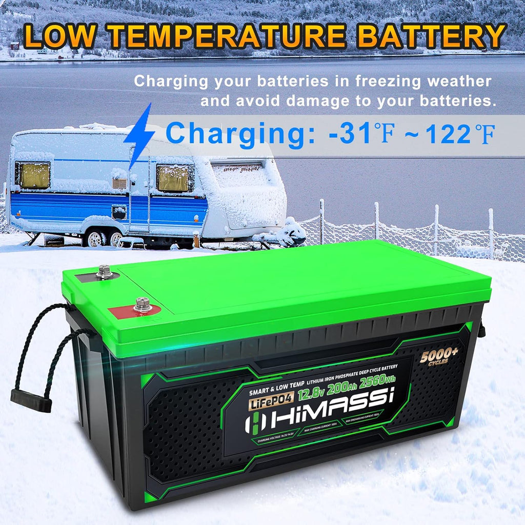 12V 100Ah LiFePO4 Battery 50A BMS Deep Cycle Battery Pack X568