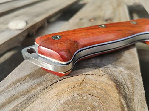 Fixed Blade Full Tang 11" MOVA Stainless Steel Knife with Sheath L66766