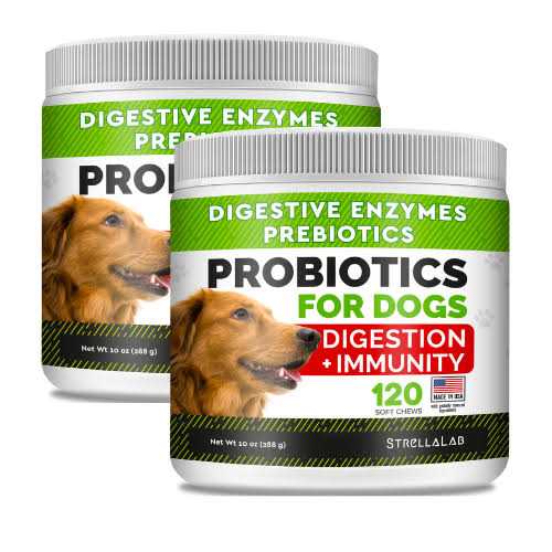 Probiotics for Dogs Z155537