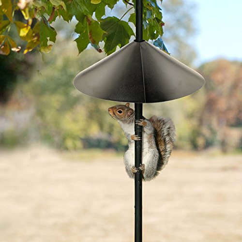 Black 18-Inch Squirrel Baffle L6888