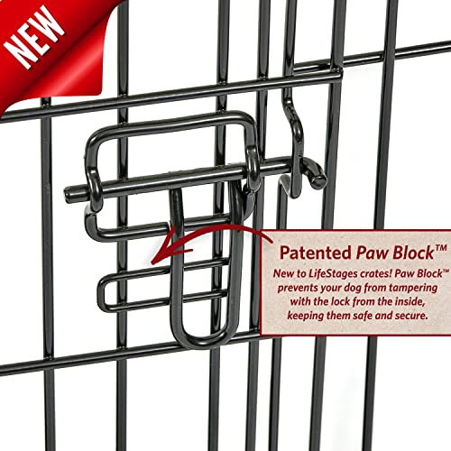 36-Inch Folding Dog Crate with Double Door E921465