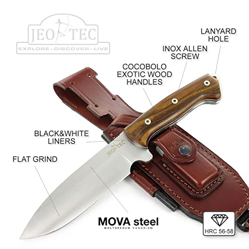 Fixed Blade Full Tang 11" MOVA Stainless Steel Knife with Sheath L66766