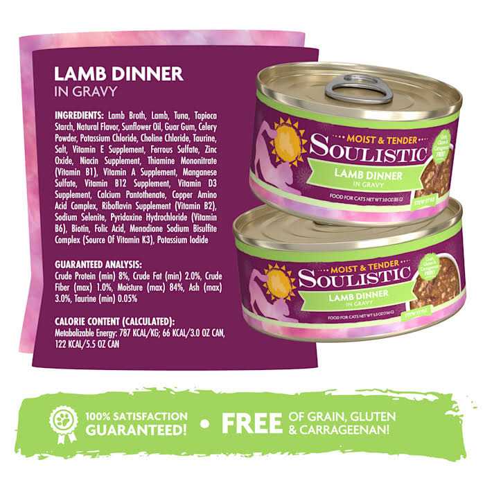 Wet Cat Food R14027