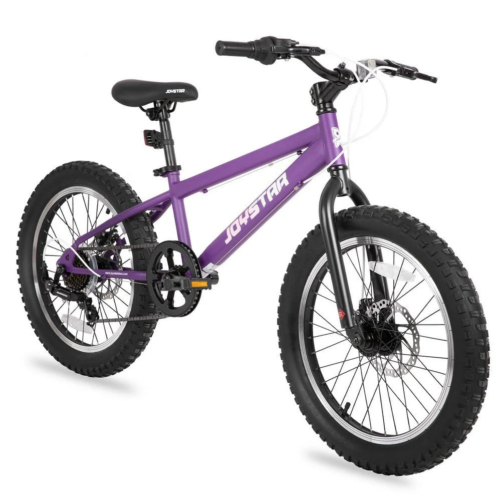 20 Inch 7 Speed Disc Brakes Fat Tire Kids Mountain Bike V35907