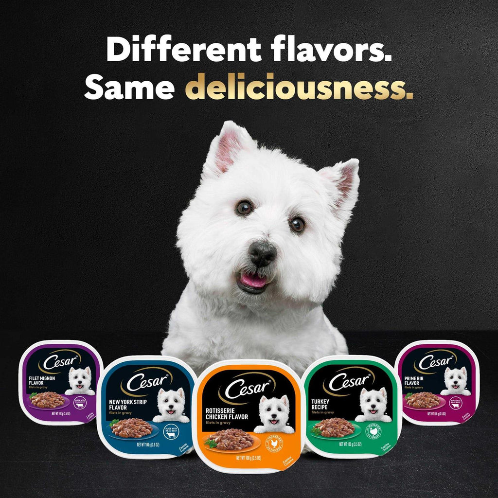 Rotisserie Chicken Flavor Wet Dog Food F65342