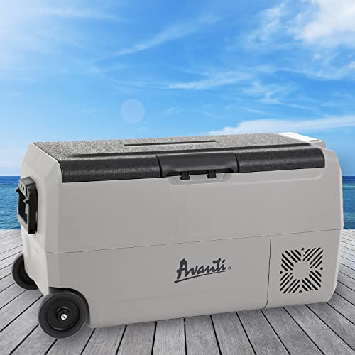 Portable Refrigerator and Freezer with 36 Liter Capacity D162179