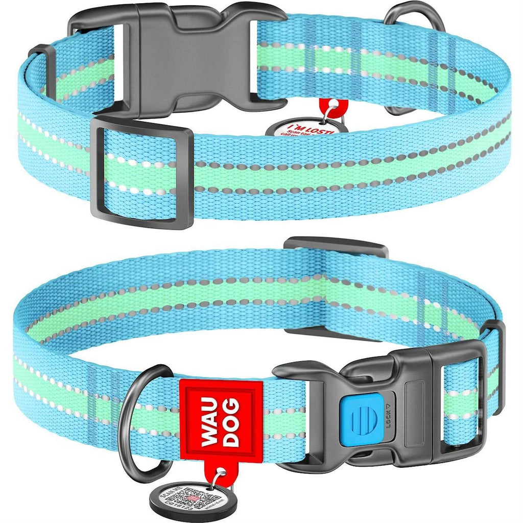 Glow in the Dark Nylon Dog Collar Blue O914586