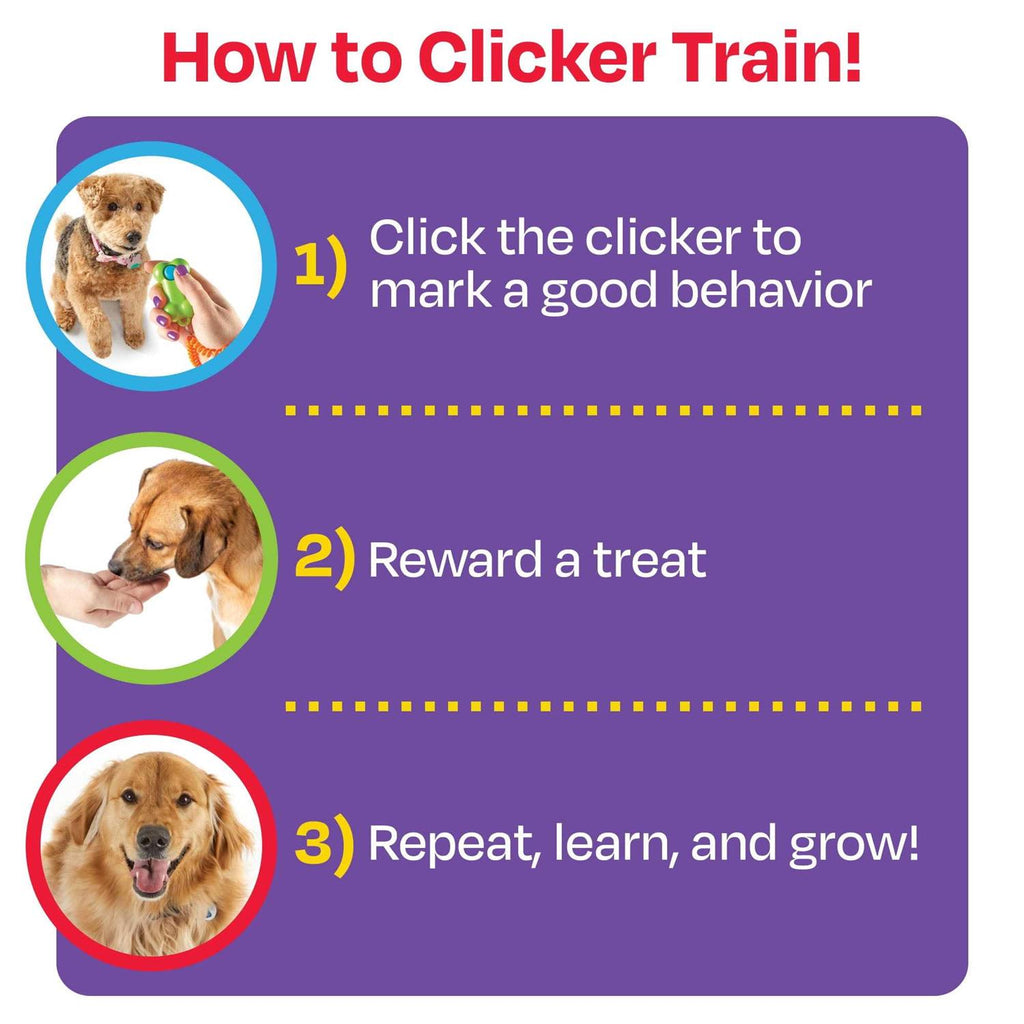 Training Clicker Q51150
