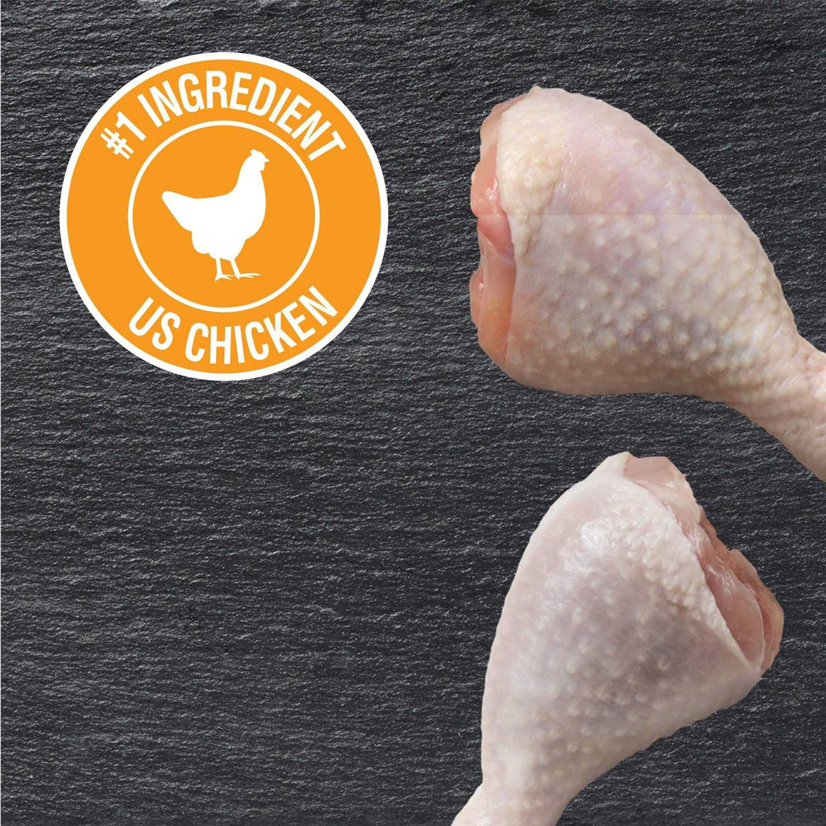 Rotisserie Chicken Flavor Wet Dog Food F65342