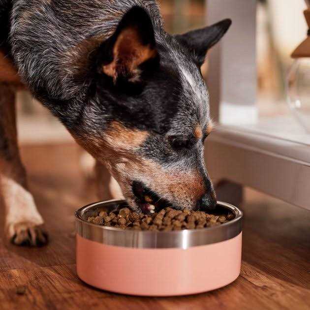 Dog Food A6600