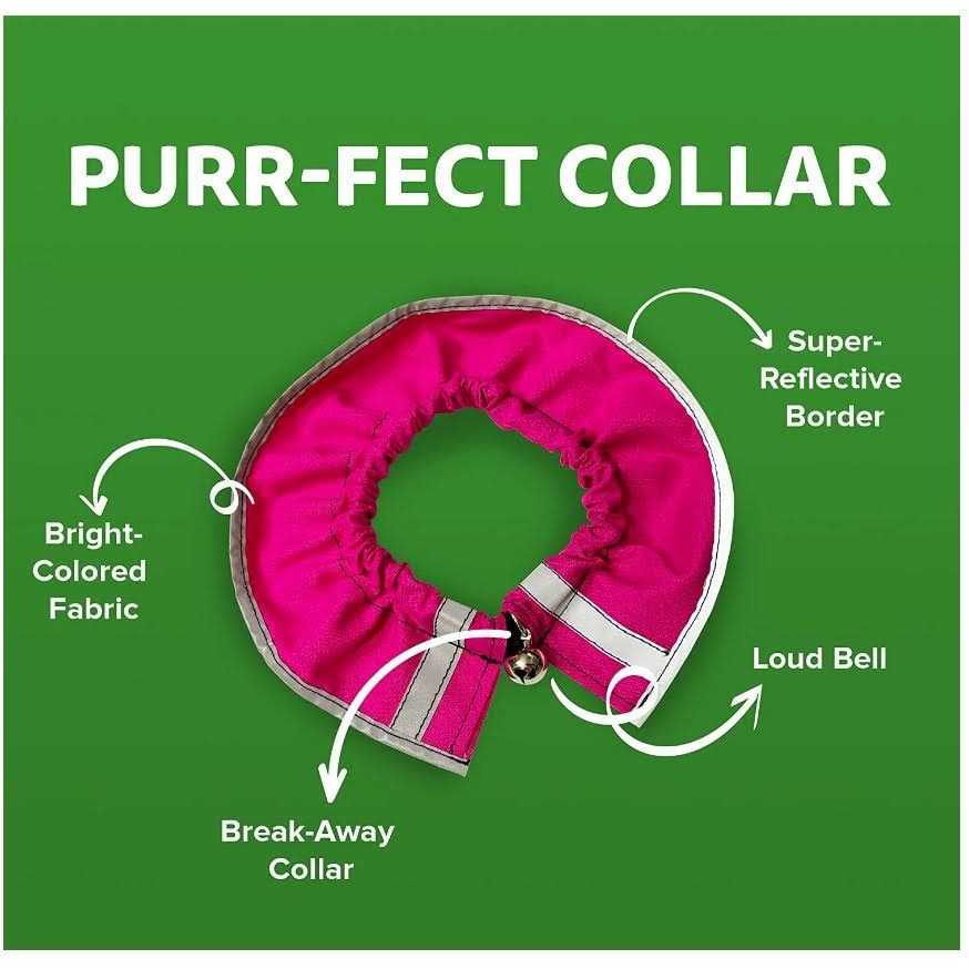 Cat Collar T43532