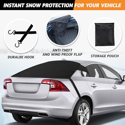Rear Windshield Cover for Ice and Snow P24524