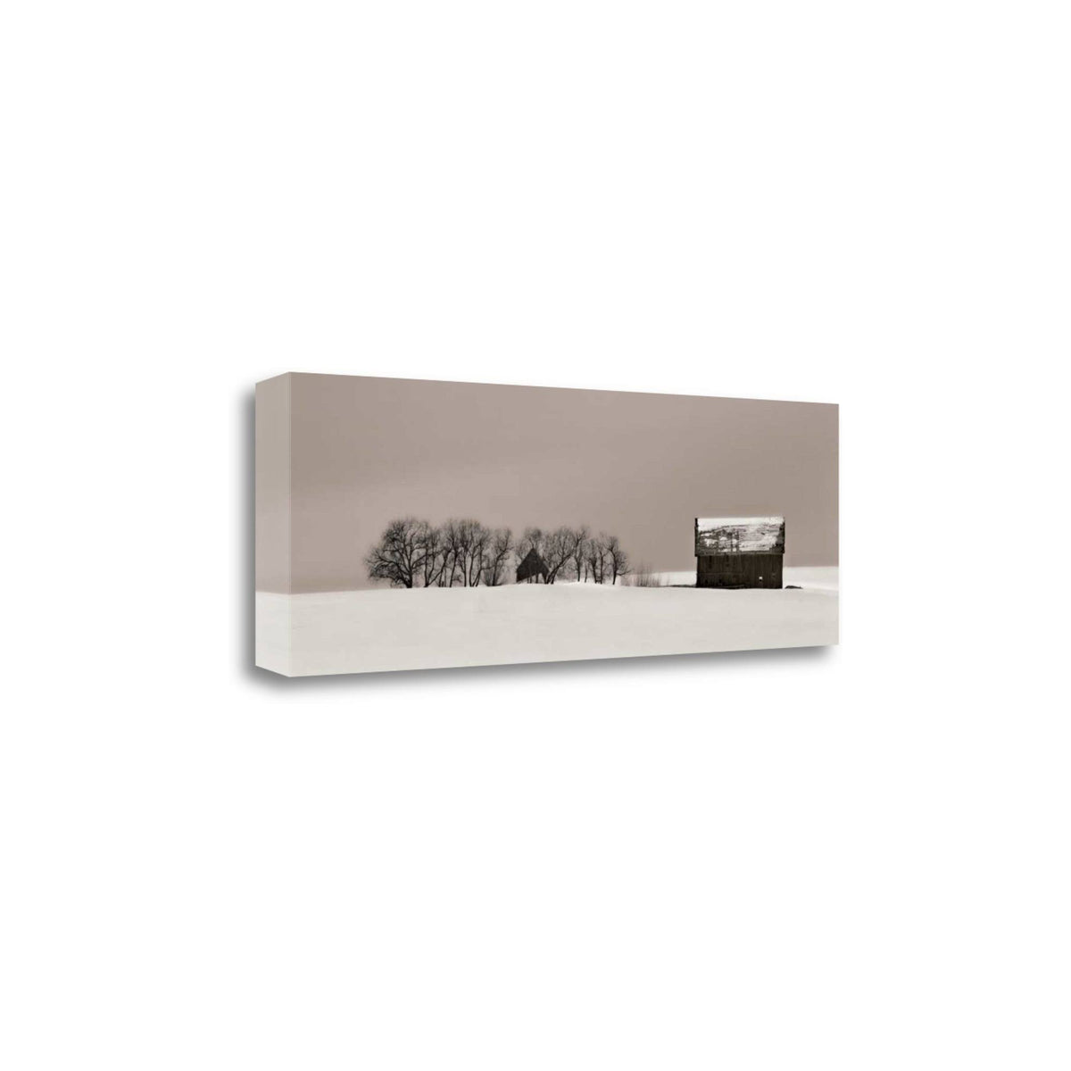 16x22 x 47x22 Fine Art Giclee Print Q58738