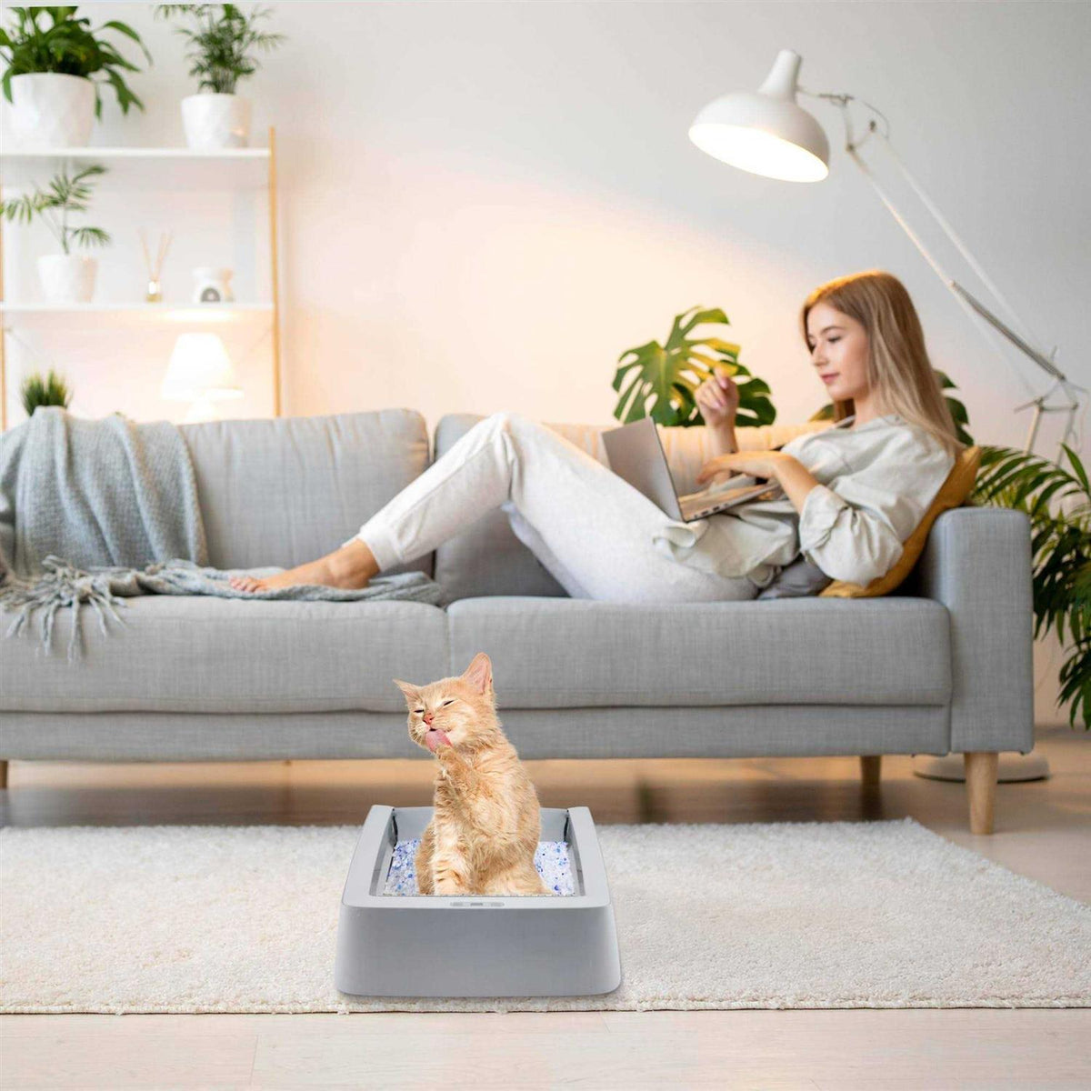 Stainless Steel Reusable Litter Tray L115448
