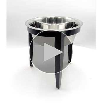 Elevated Single Diner for Dogs O23479