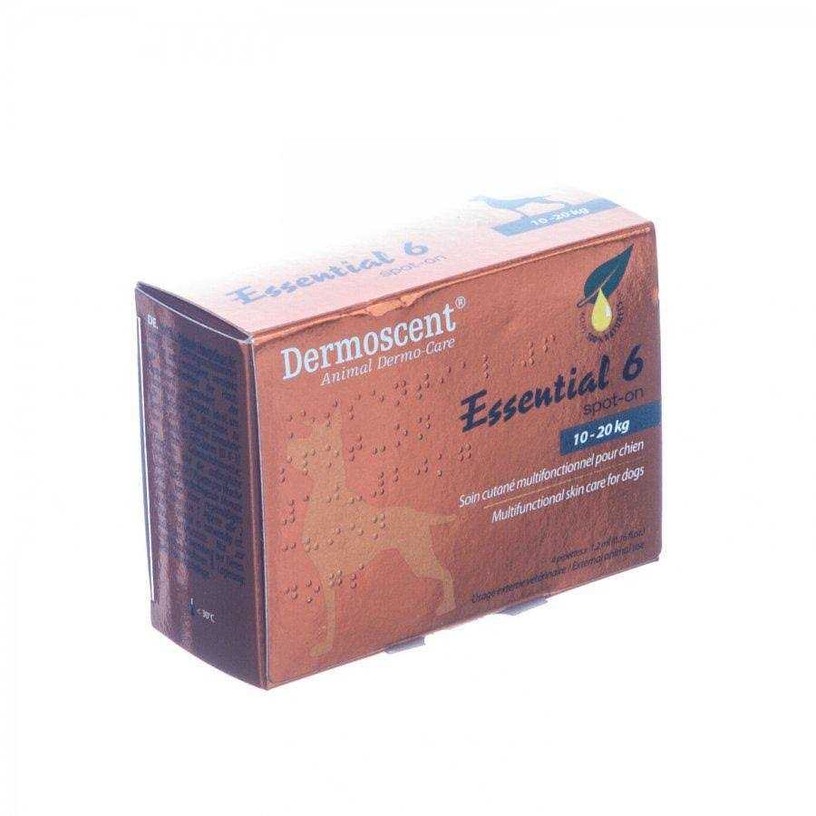 Essential 6 Spot-On Dogs Z9315