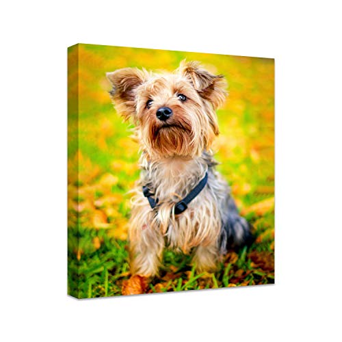 Photo to Canvas Print Custom Wall Art 6" W x 8" H T5244