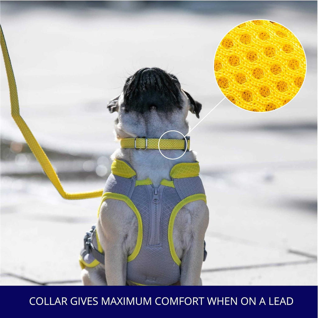 Mesh Dog Collar M706