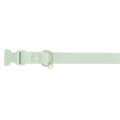 Dog Collar O837173