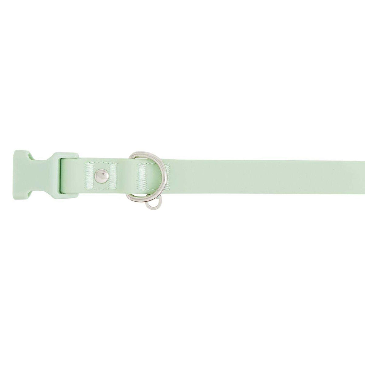 Dog Collar O837173