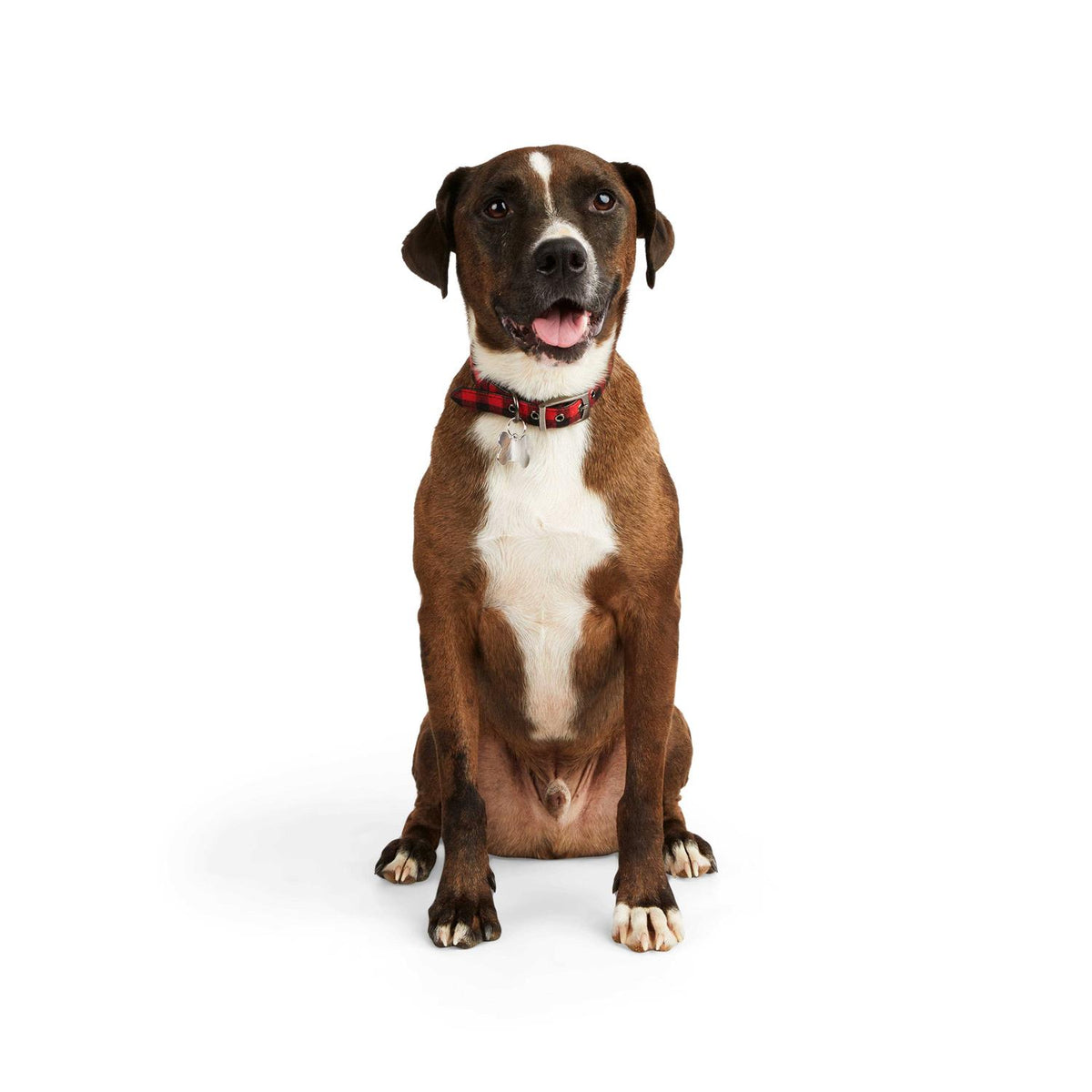 Buffalo Checkered Dog Collar I569
