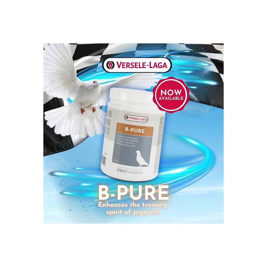 Pet Supplies C39577