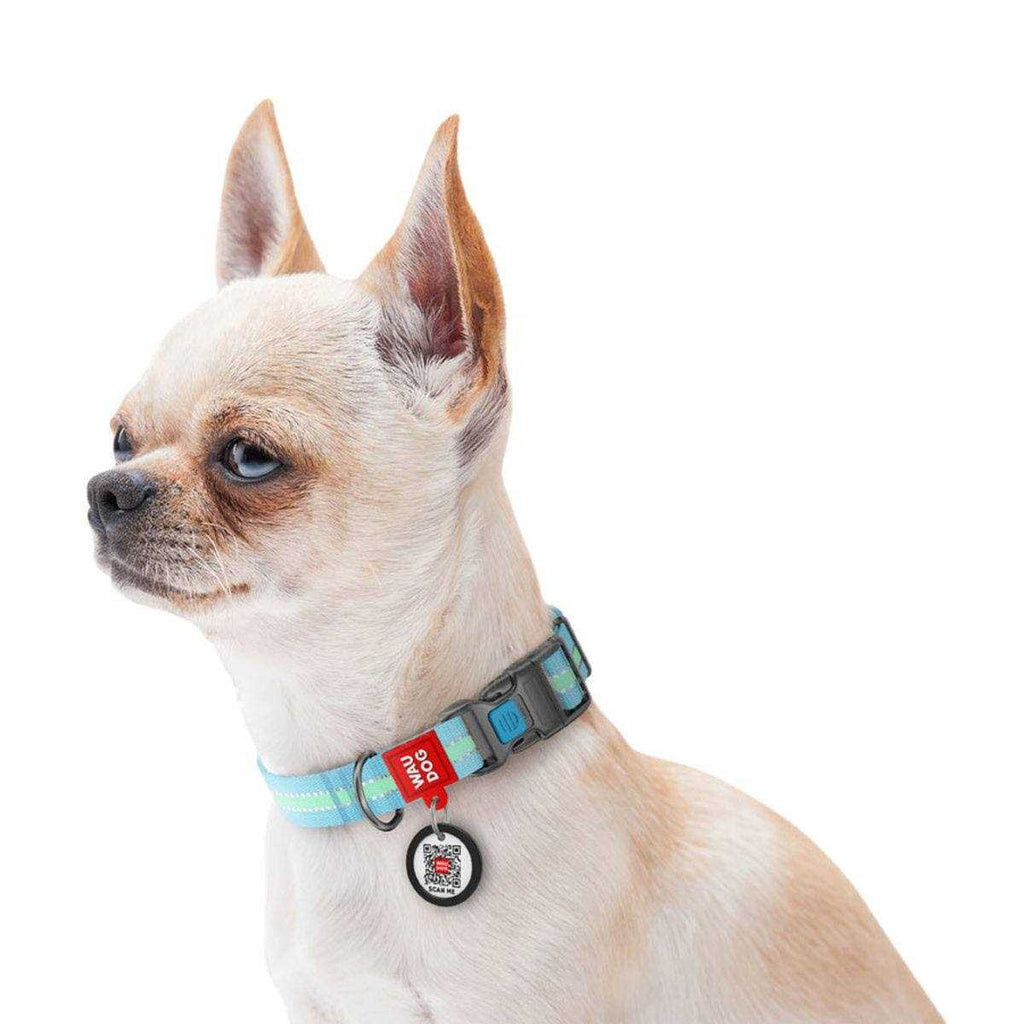 Glow in the Dark Nylon Dog Collar Blue O914586