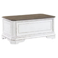 Storage Trunk O51098