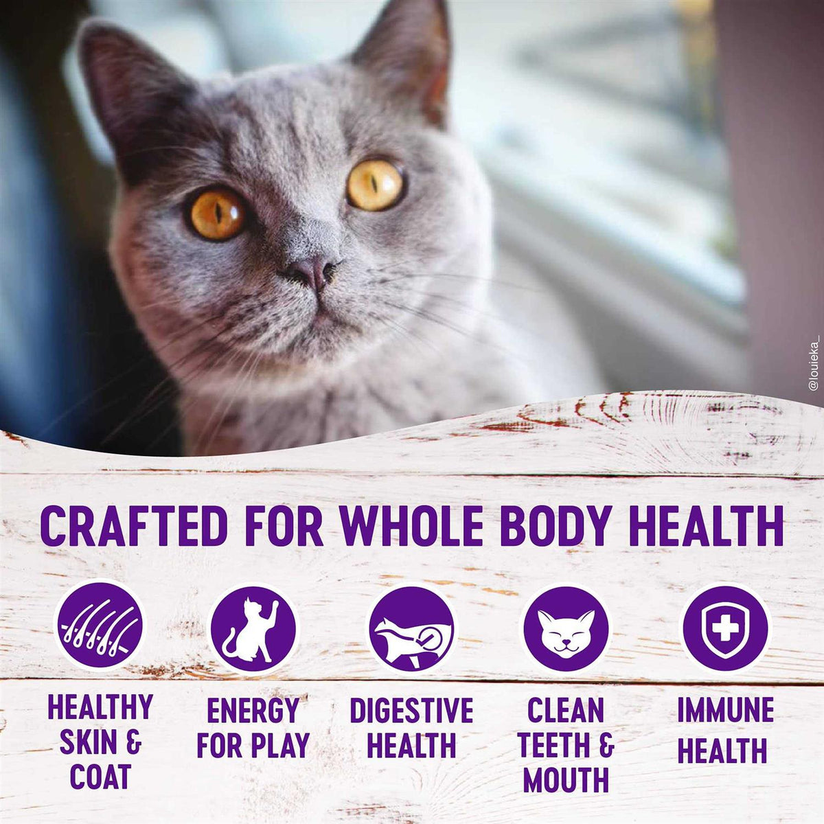 Grain-Free Deboned Chicken Dry Cat Food N2784
